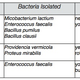 Image for article titled What does cheese made from armpit and nose bacteria smell like?